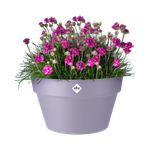 loft urban schale 35cm lavendel lila